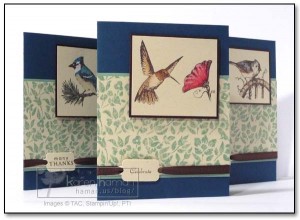 Card Set Card Set